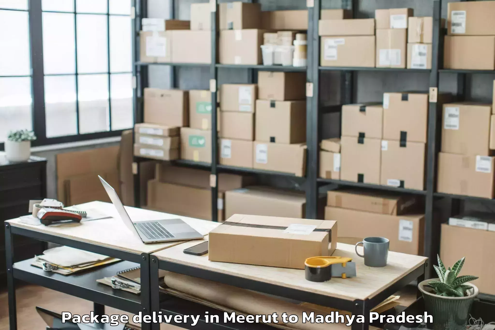 Reliable Meerut to Berasia Package Delivery